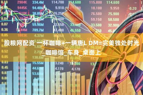 股粮网配资 一杯咖啡+一辆唐L DM=完美独处时光_咖啡馆_车身_桌面上