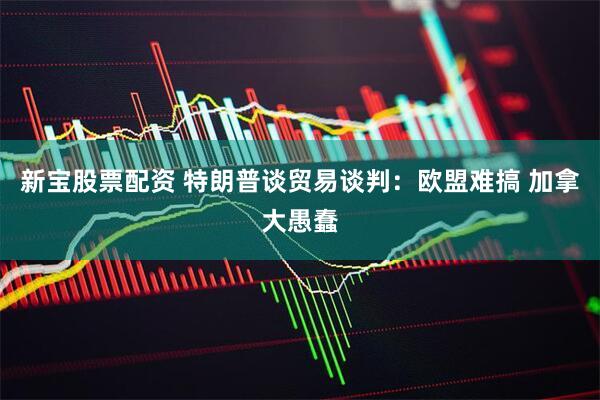 新宝股票配资 特朗普谈贸易谈判：欧盟难搞 加拿大愚蠢