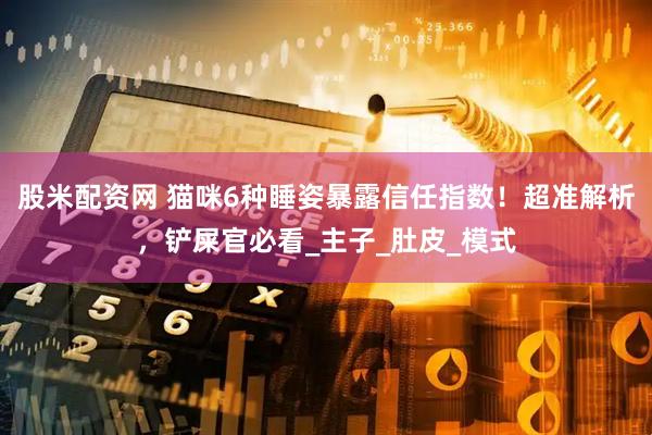 股米配资网 猫咪6种睡姿暴露信任指数！超准解析，铲屎官必看_主子_肚皮_模式
