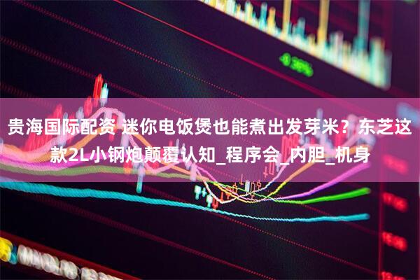 贵海国际配资 迷你电饭煲也能煮出发芽米？东芝这款2L小钢炮颠覆认知_程序会_内胆_机身
