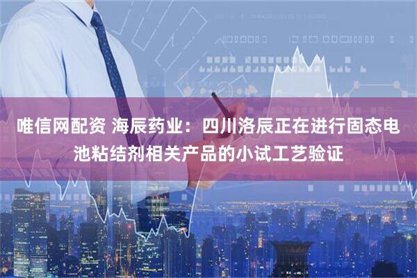 唯信网配资 海辰药业：四川洛辰正在进行固态电池粘结剂相关产品的小试工艺验证